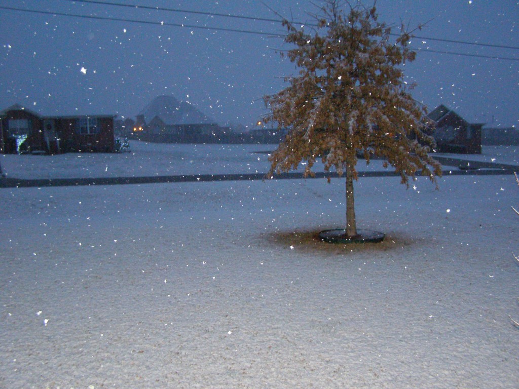 Our front yard covered in snow with falling flakes visible in the foreground